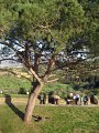 Fort Belvedere-20